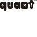 Quant Small Cap Fund Growth